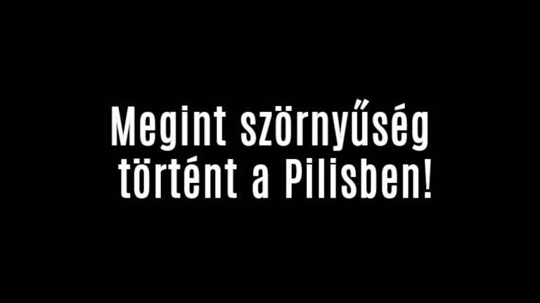 plii