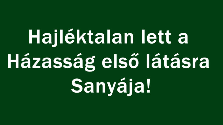 sany