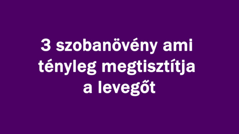 szobn